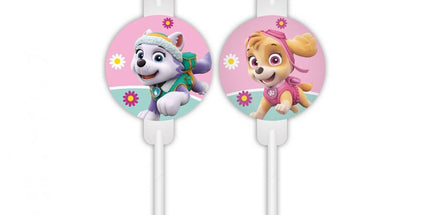 Papirnate slamice Paw Patrol Skye in Everest, 4 kos